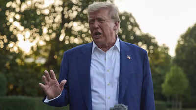 Trump's 'big, beautiful bill': How US president could change America's immigration system - the wall, ICE & more
