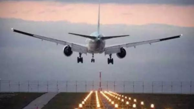 'Not in place': Delta Airlines plane loses portion of wing flap mid-air; FAA launches probe