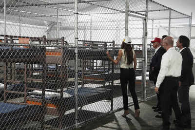 Alligator Alcatraz: Donald Trump's swamp fortress - the new nightmare baring America's soul