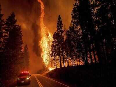 $100 million missing? Trump calls FireAid 'another Democrat inspired scam'; California wildfire charity funds never reach direct victims