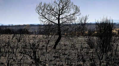 UN says workers' health 'severely impacted' by rising heat