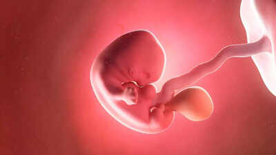 Worlds oldest baby born from 30-year-old frozen embryo: A breakthrough in fertility science