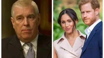 Prince Harry punched Andrew at royal gathering, called him coward; Meghan Markle was branded an 'opportunist': Book