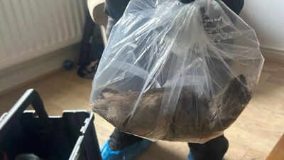 Source: Facebook Massive 22-inch rat found in UK home, residents call for action as sightings surge: “Bigger than my grown cat”