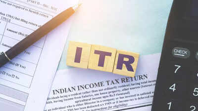 NRIs in the UAE must file Indian Income Tax Returns (ITR) by September 15, 2025/Image: File NRI tax filing 2025: Step-by-step guide for UAE residents before September 15 deadline