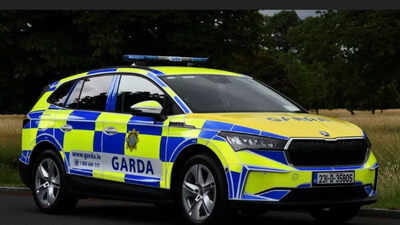 'I could not protect her': Mother says her six-year-old daughter was told to 'go back to India'; bicycle wheel was pushed onto her private parts