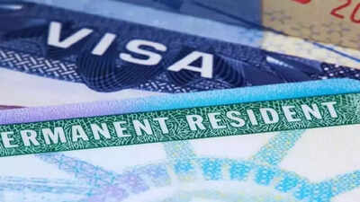 A Reddit post on H-1B, green card went viral. 'Happier after returning to home country': Redditor's post on fighting hard for H-1B, green card viral