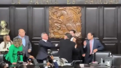 Punches, pushing, and shouting: Sparks fly in Mexican parliament as senate debate turns violent; watch
