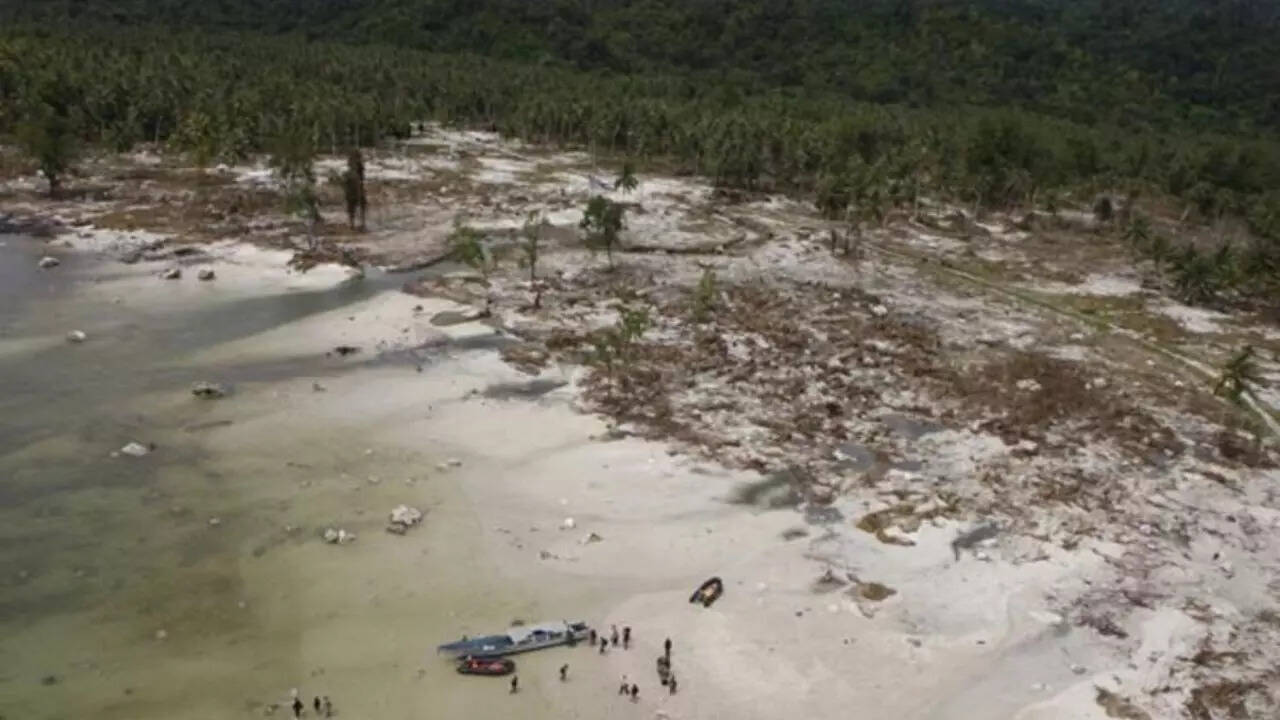 Enshunada Sea Earthquake and Tsunami