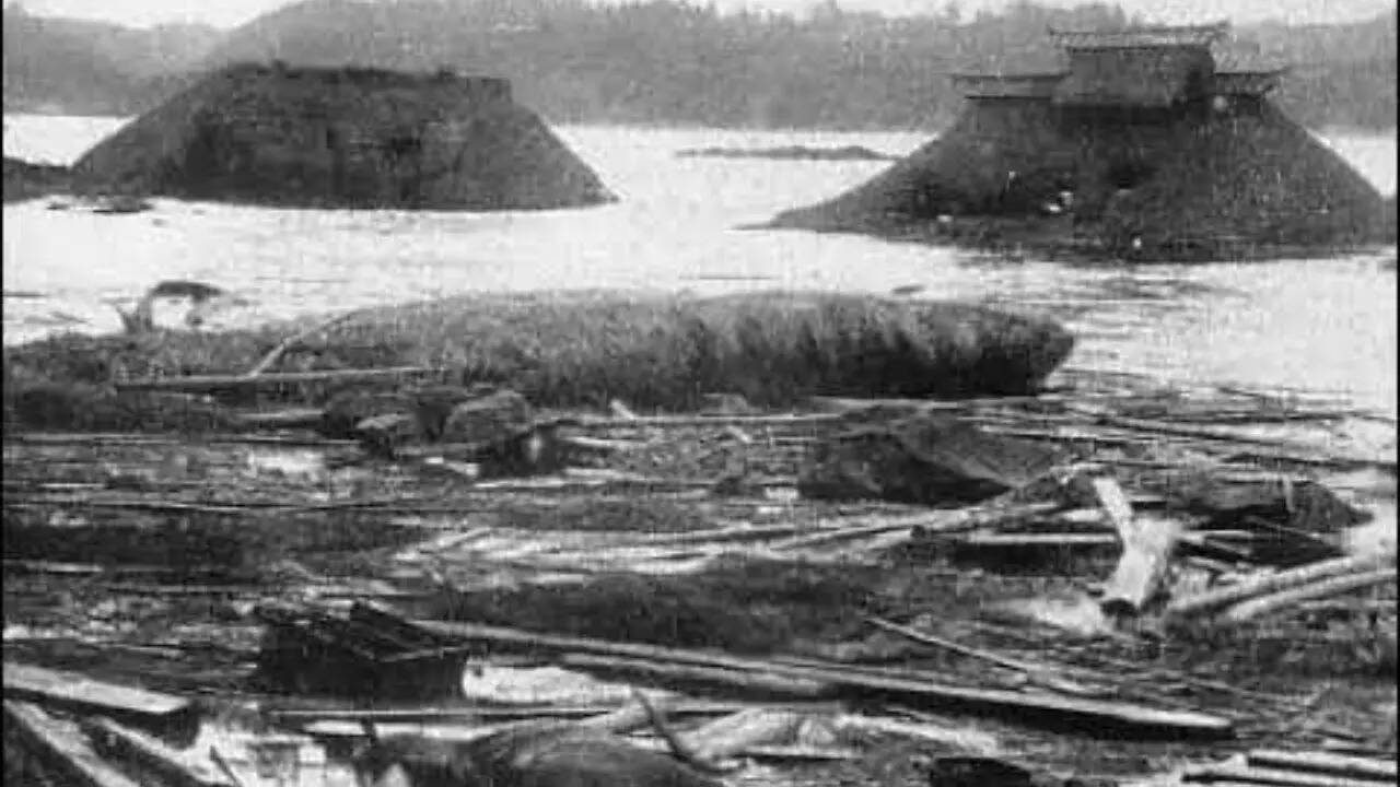 Sanriku Earthquake and Tsunami