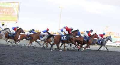 Sixteen horses to compete for $100,000 prize in Russia’s Kazan at tenth round of UAE President’s Cup