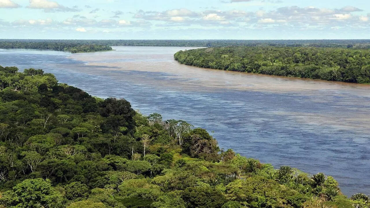 Amazon river