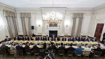 Donald Trump's high-IQ group: How many Indian-origin tech giants were present at Trump’s White House dinner – names and profiles
