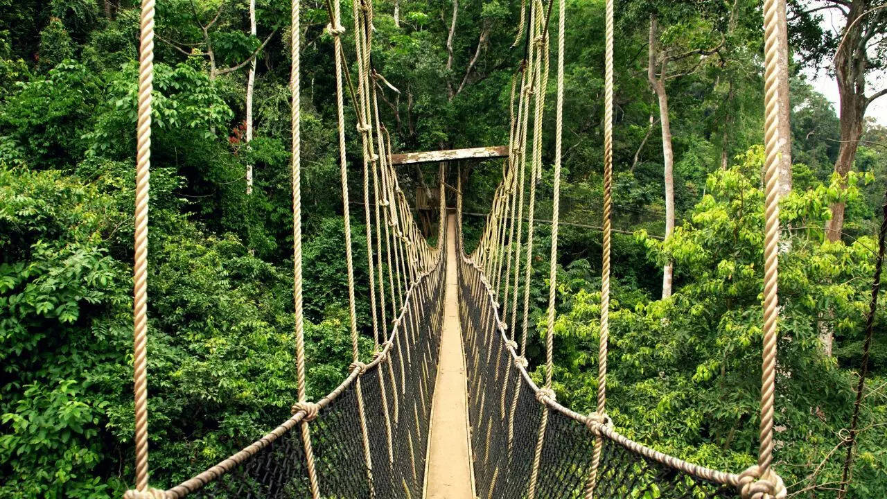 Kakum Canopy Walk, Ghana