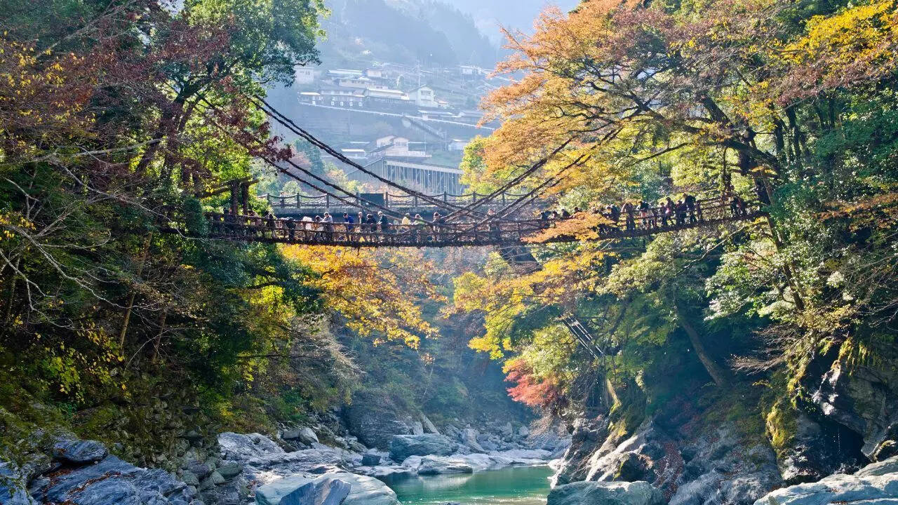 Kazurabashi Bridge, Japan