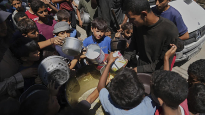 What is 'Together for Palestine'? From Bastille to Cumberbatch; star lineup backs Gaza charities - £1.5m raised