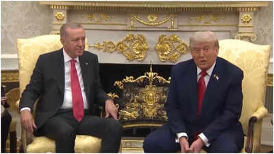 Trump-Erdogan meeting: US prez asks Turkey to stop buying Russian oil; F-35 jet deal on agenda