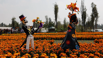 Catrina sculptures stand in a field of cempasuchil flowers (Image credits: AP) Mexico’s orange bloom of the Day of the Dead faces a growing climate threat