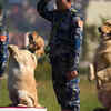 Paw-salute: Dog​s stand proud before Nepal Police