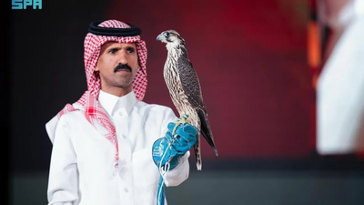 A young Farkh Shaheen sold for SAR136,000 at Saudi Falcons Club Auction, debuting Sakaka friends/Image: SPA Record breaking sale: Young Falcon sells for $36,265 at Saudi Falcons Club Auction 2025