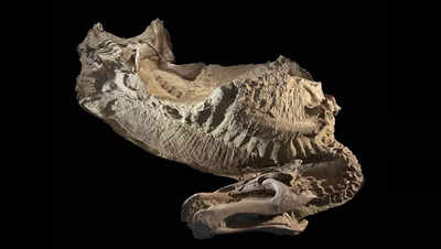 First ‘mummified’ hooved dinosaur in Wyoming Badlands discovered, redefining prehistoric evolution