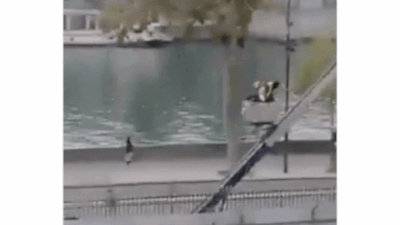 Louvre museum thieves caught on camera escaping with the jewels. Watch: Louvre museum thieves’ slow getaway with France’s crown jewels; caught on camera
