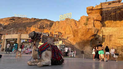 Representative image Talks begin in Egypt on US plan to end Gaza war