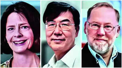 File photo: Mary Brunkow, Shimon Sakaguchi and Fred Ramsdell Trio gets Nobel Prize in Medicine for work on immune system