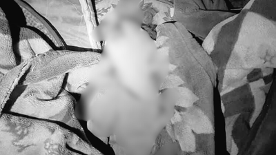 Image credit: X 'Civilian's house bombed': Pakistan strikes Afghanistan, says Taliban government; 9 kids, 1 woman dead