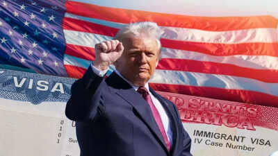 US President Donald Trump Donald Trump's war on immigrants: Over 80,000 non-immigrant visas snatched this year