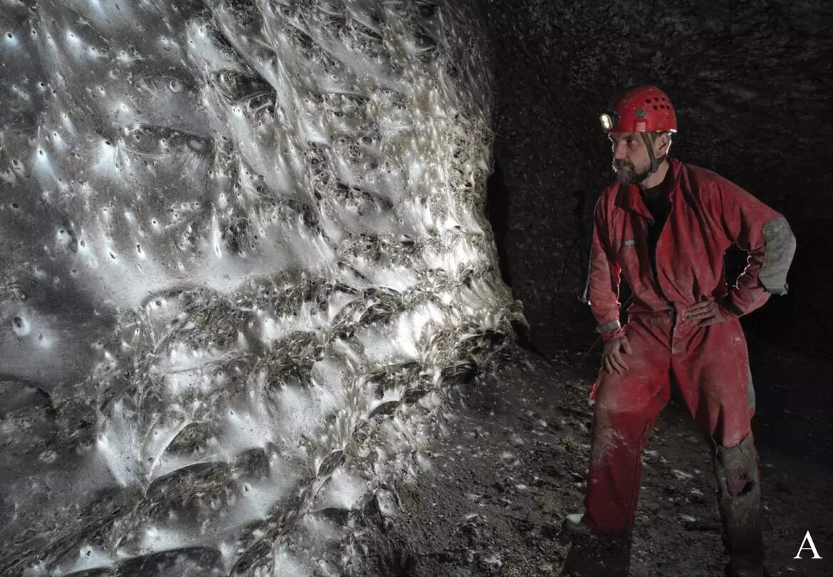 Sulfur Cave spiderweb
