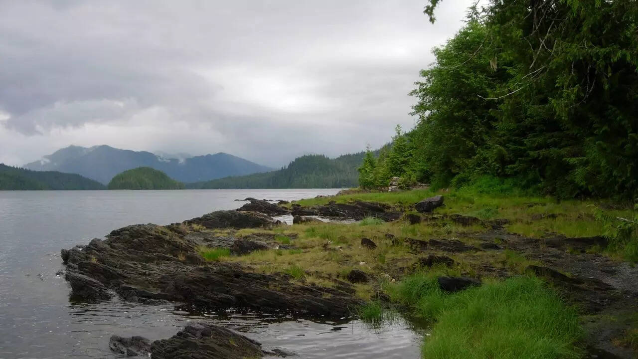 The Tongass National Forest