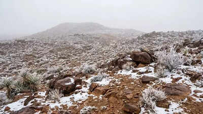 Saudi Arabia records rare snowfall in Tabuk and Hail as videos go viral