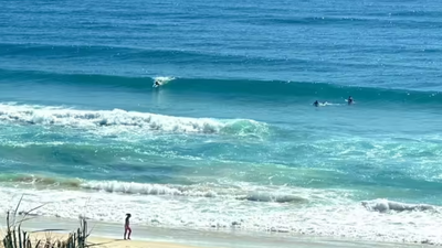 Autopsy of Canadian teen found on Australian beach points to drowning; dingo bites likely after death<i></i>” decoding=”async” fetchpriority=”high”></p>
</div>
<p>Preliminary autopsy findings into the death of a 19-year-old Canadian backpacker Piper James on Australia’s K’gari island suggest drowning as the most likely cause, with dingo bites sustained largely after her death, Queensland authorities said.</p>
<p><span data-pos=