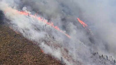 . South Africa wildfires: Firefighters battle blazes spreading across Western Cape— what we know