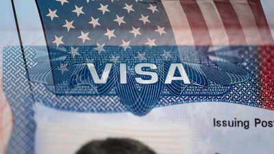 'Either go to jail or get deported': 'Wild story' of Indian techie's humiliation in US until he boarded plane goes viral