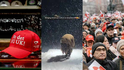 From Red MAGA cap to mocking videos: Here's how Greenland responds to Donald Trump's threat