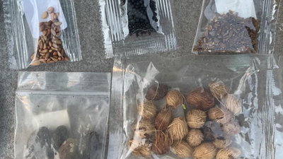 'Don't open': Residents of Texas warned against mysterious packets shipped from China