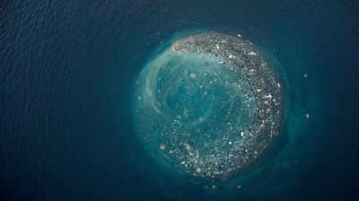 The Great Pacific Garbage Patch is becoming home to some aquatic species. AI-generated The Great Pacific Garbage Patch is becoming home to some aquatic species