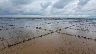 The return of Pa’ashi as Tulare Lake floods California farmland again after 130 years