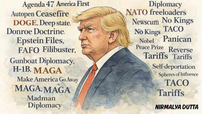 From FAFO to TACO - the terms that define Trump 2.0