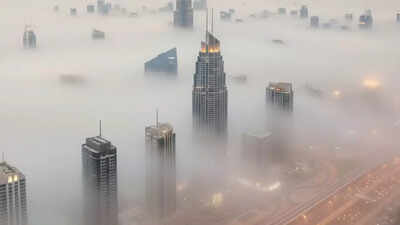 UAE fog alert: Authorities warns of extremely low visibility in Dubai and Coastal areas