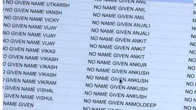 ‘Specific to Punjabi population’: MAGA activist claims thousands of US trucking companies operate under ‘No Name Given’