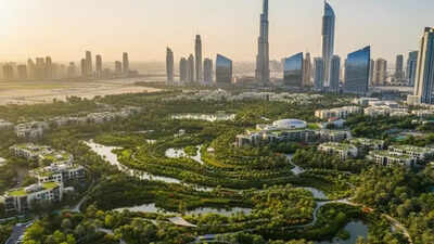 Inside the Sponge City Vision Set to Reshape Urban Life / Image: AI Dubai set to adopt China’s ‘Sponge City’ model — What the future city could look like