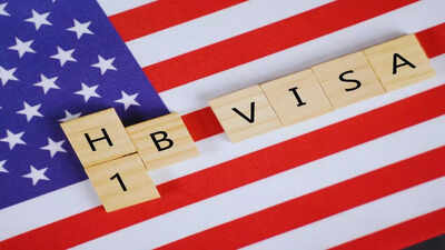 'EXILE, PAUSE': List of introduced bills targeting H-1B visa program and their status
