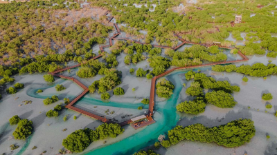 UAE: Abu Dhabi launches ‘World’s Richest Seas’ initiative to increase fish density by 2030