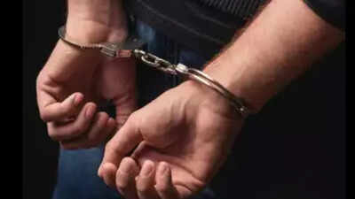 Florida man arrested after fatal hit-and-run in New York: 'Didn’t do the moral thing'