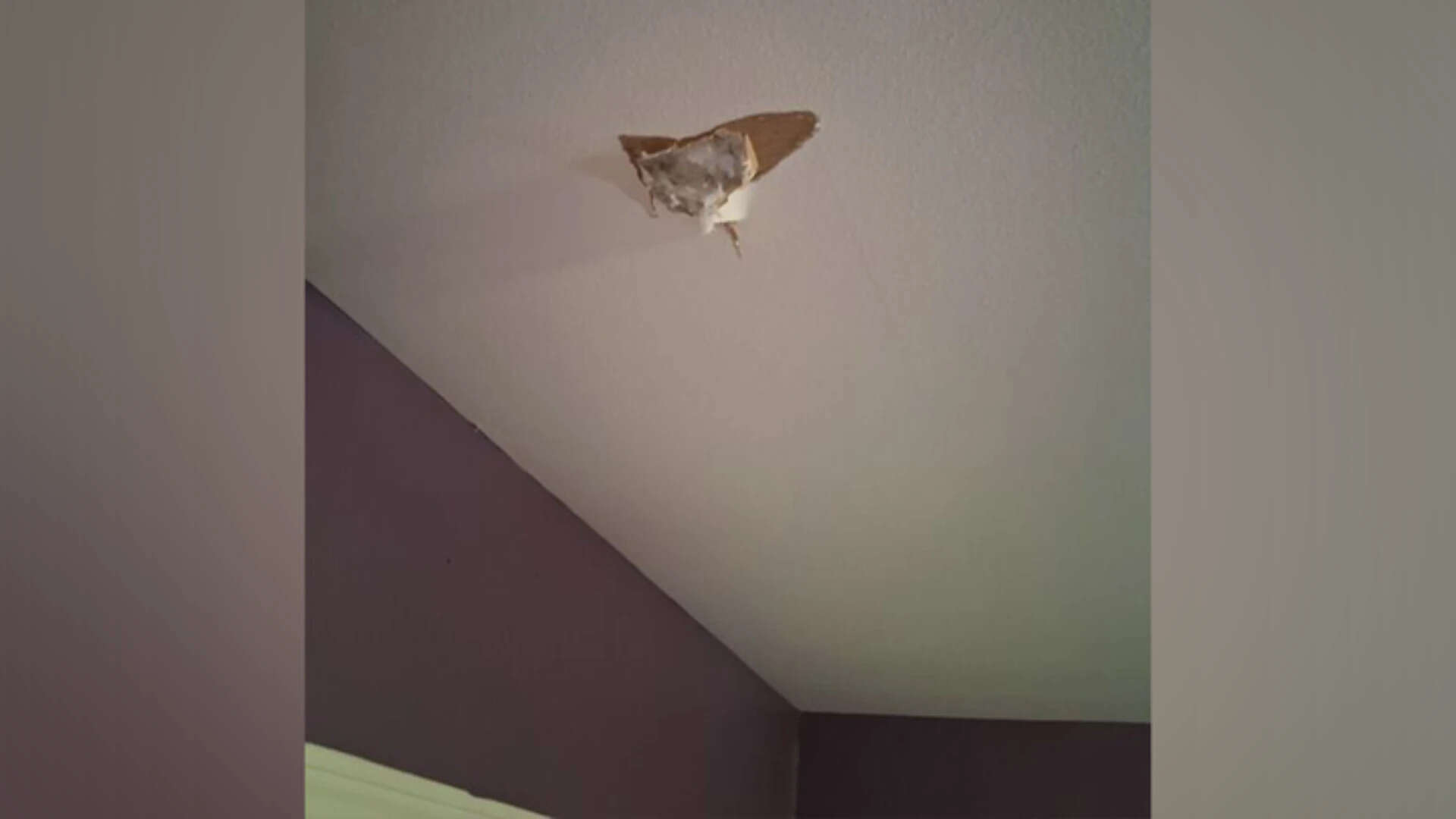 Houston resident Sherrie James claimed space rock crashed through her roof. (Fox News)