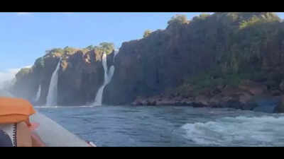 'Obnoxious India-India chant': Professor says felt embarrassed as 'Delhi bros' created ruckus at Iguaçu Falls