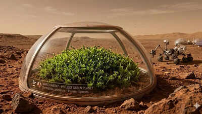 PC: Google Gemini Scientists discover a plant that could survive on Mars and help create a ‘Green Planet’